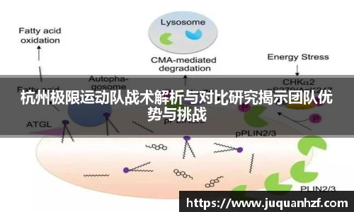 杭州极限运动队战术解析与对比研究揭示团队优势与挑战
